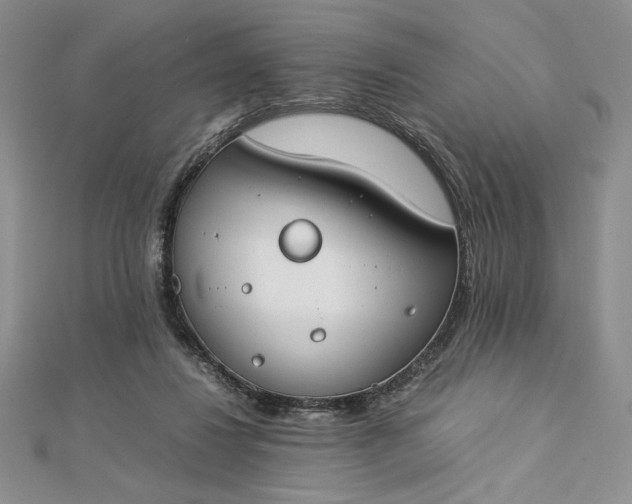 X0000112870260200909041627