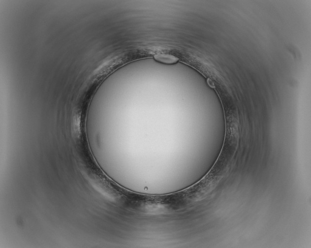 X0000112870262200909041627