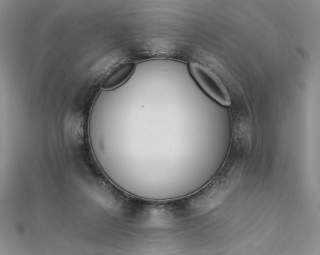 X0000112870264200909041627