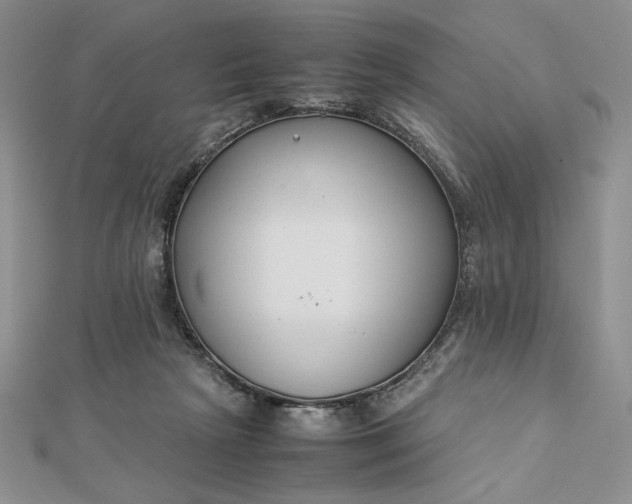 X0000112870265200909041627