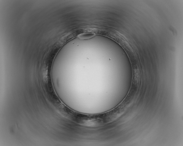 X0000112870267200909041627