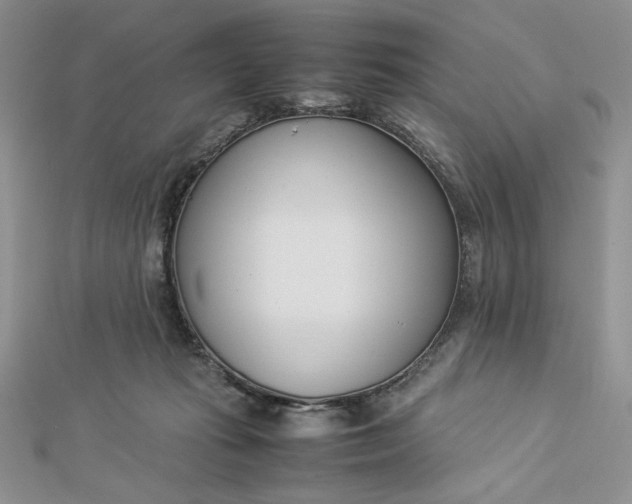 X0000112870269200909041627