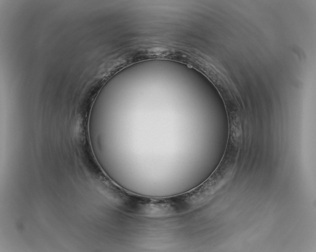 X0000112870270200909041627