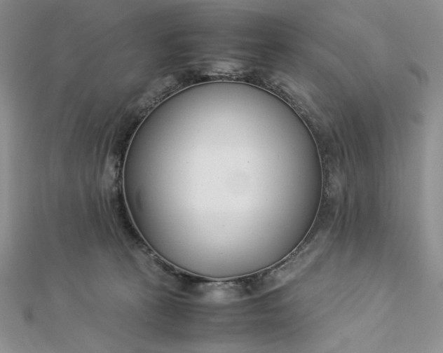 X0000112870273200909041627