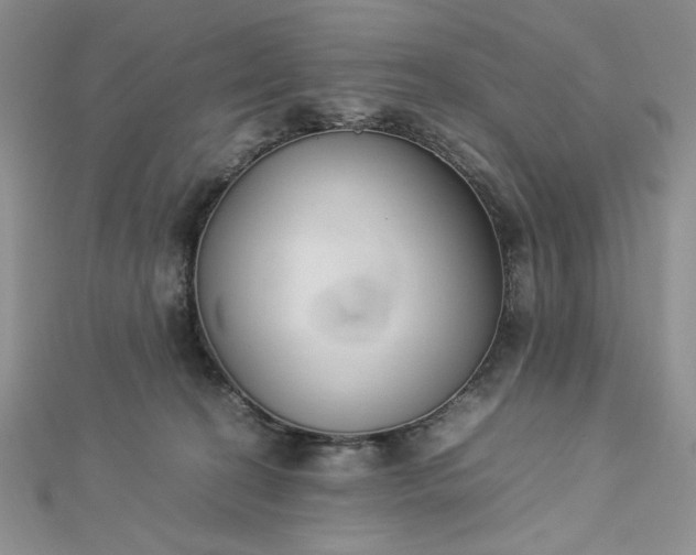 X0000112870274200909041627