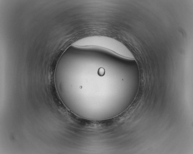 X0000112870276200909041627