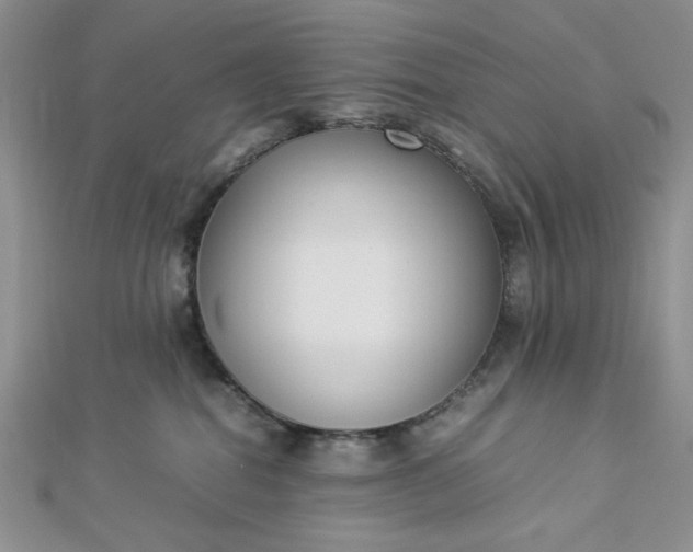 X0000112870282200909041627