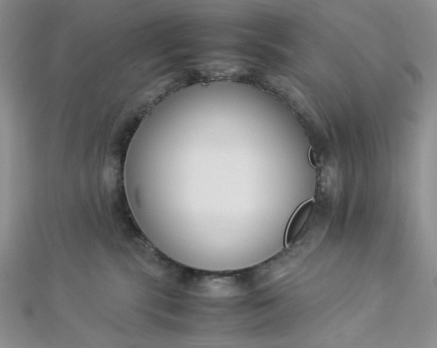 X0000112870283200909041627