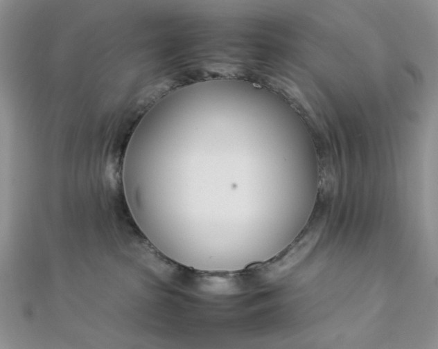 X0000112870285200909041627