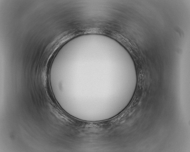 X0000112870290200909041627