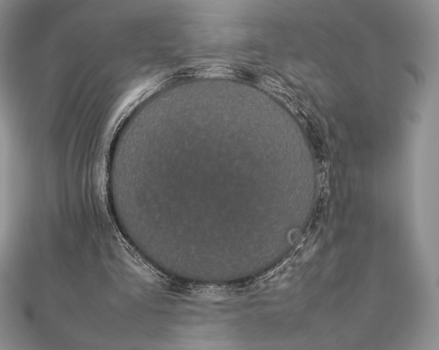 X0000112870293200909041627