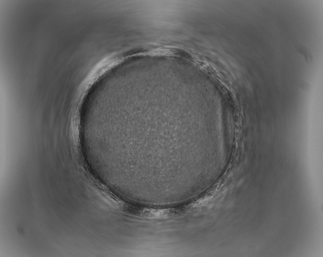 X0000112870295200909041626