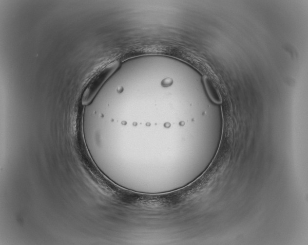 X0000112870299200909041626