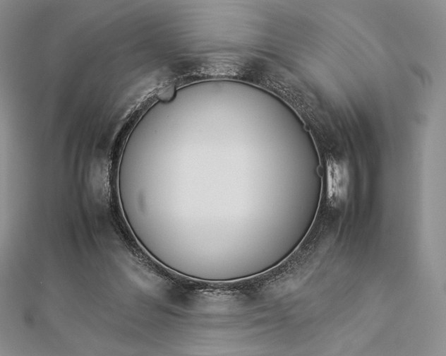 X0000112870300200909041626