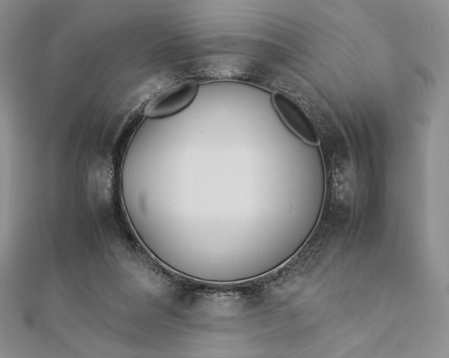 X0000112870304200909041626