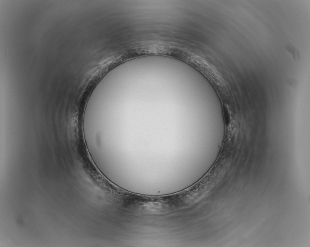 X0000112870306200909041626