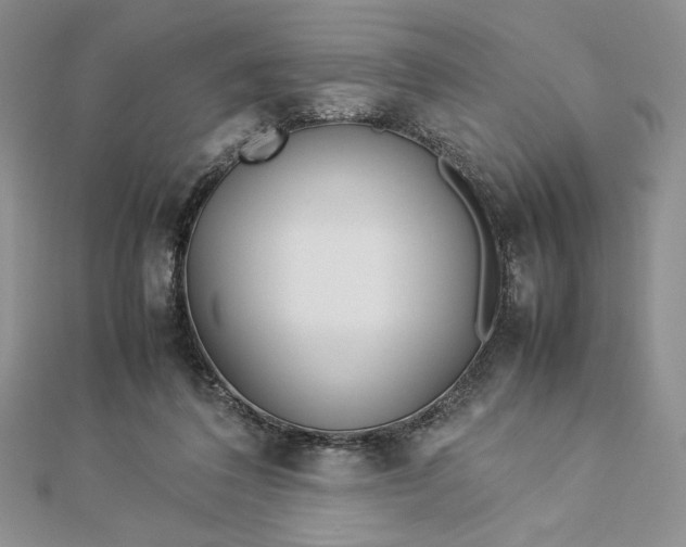 X0000112870308200909041626