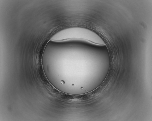 X0000112870312200909041626