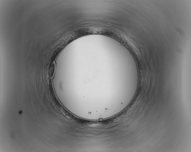 X0000112870313200909041626