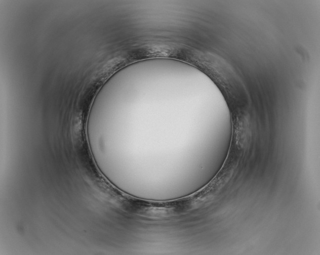 X0000112870314200909041626