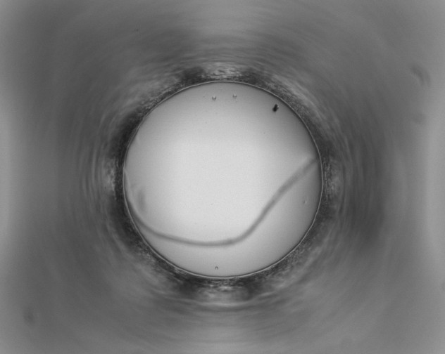 X0000112870315200909041626