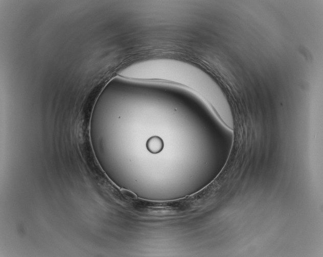 X0000112870316200909041626