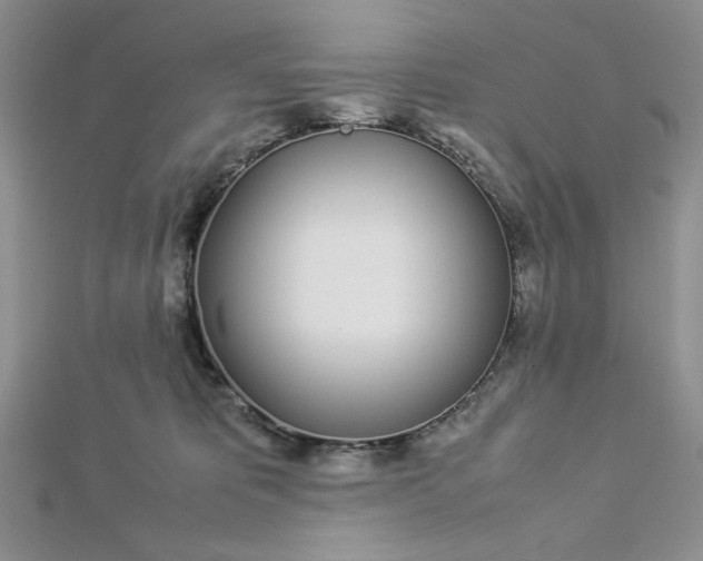 X0000112870325200909041626