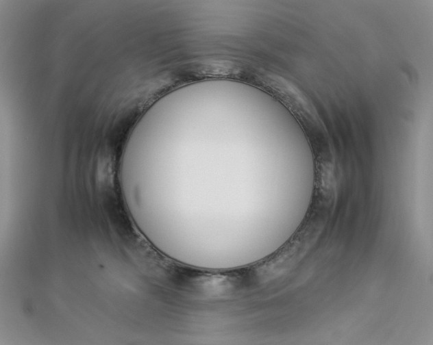 X0000112870326200909041626