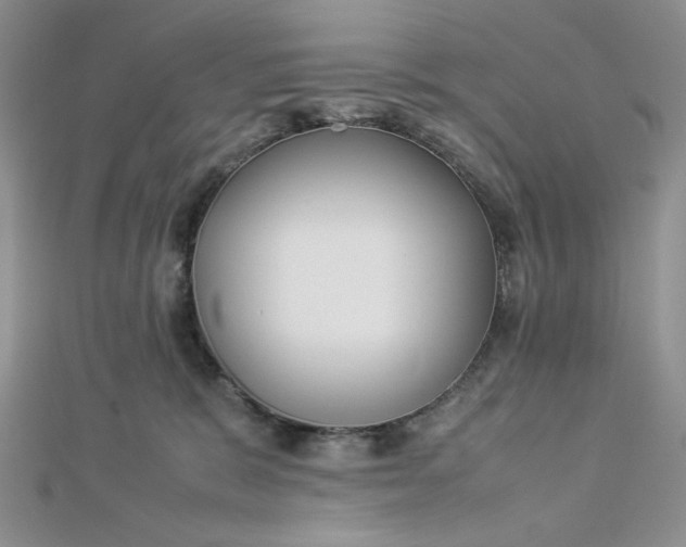 X0000112870327200909041626