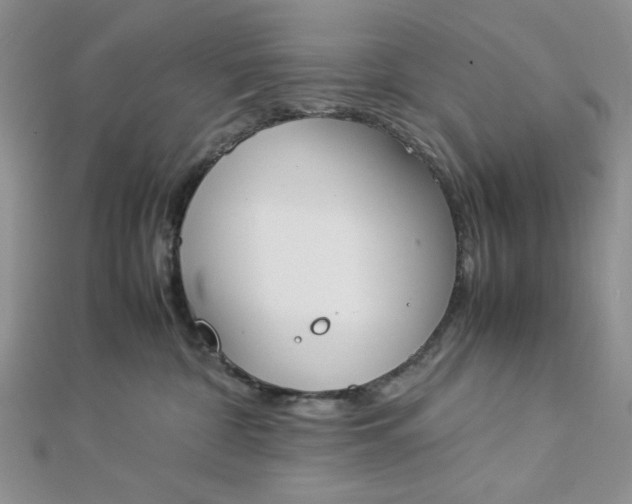 X0000112870332200909041626