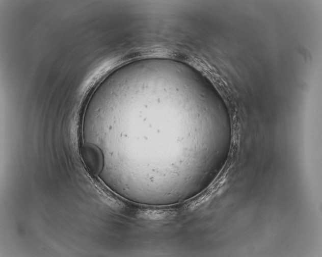 X0000112870341200909041625