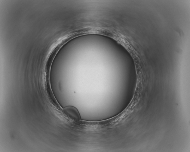 X0000112870342200909041625