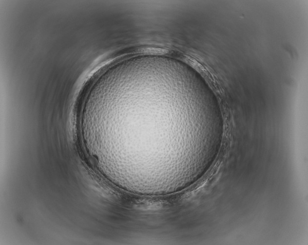 X0000112870343200909041625