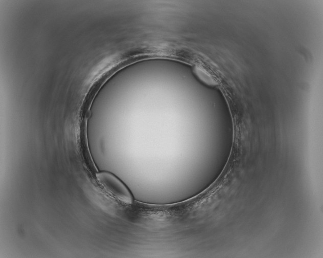 X0000112870344200909041625