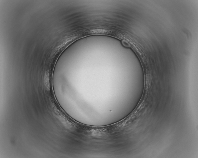 X0000112870345200909041625