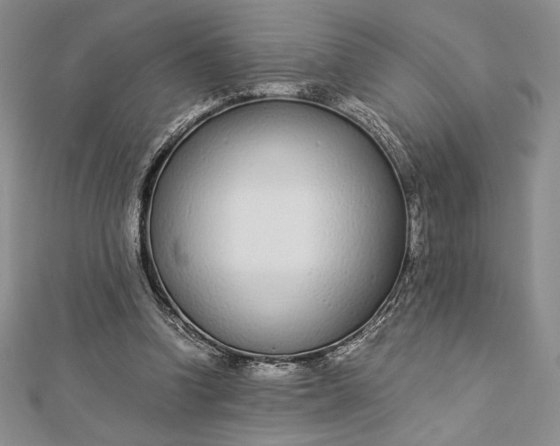 X0000112870346200909041625