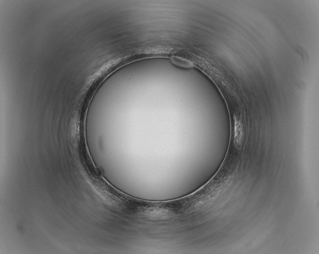 X0000112870348200909041625