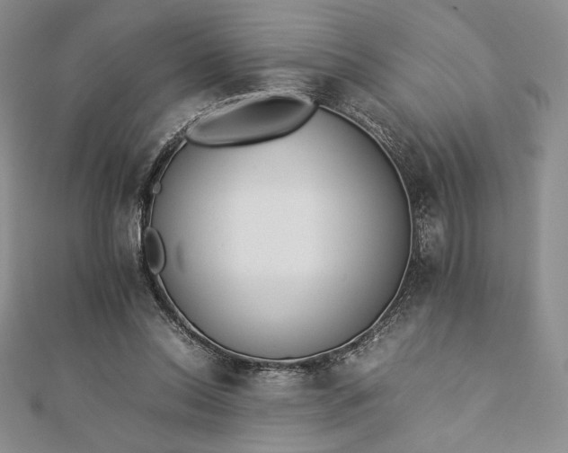 X0000112870350200909041626