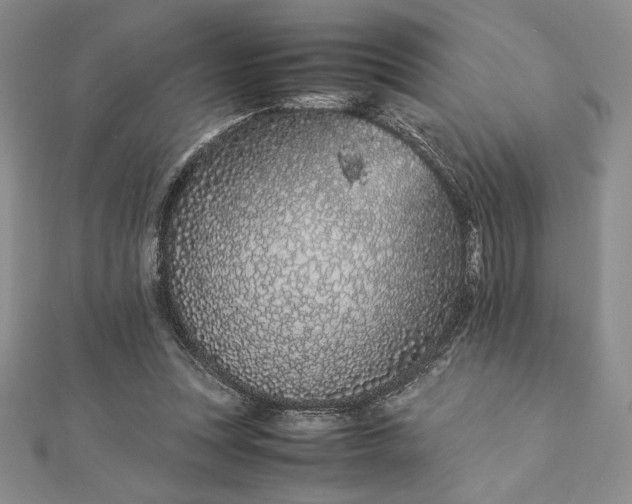 X0000112870351200909041626