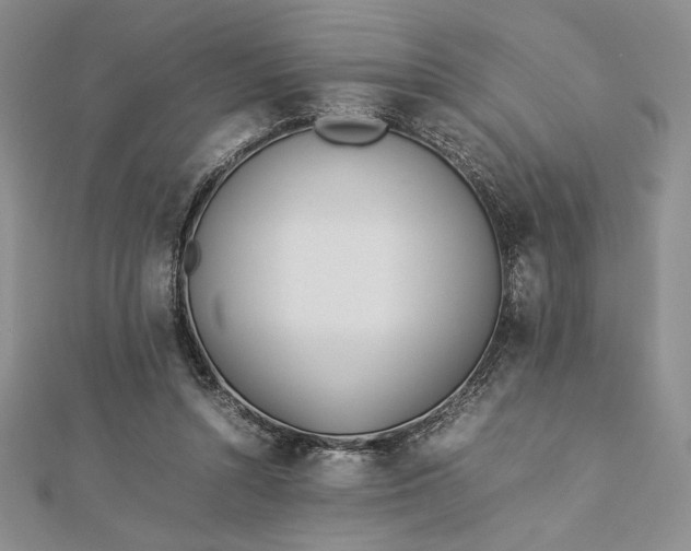 X0000112870352200909041626