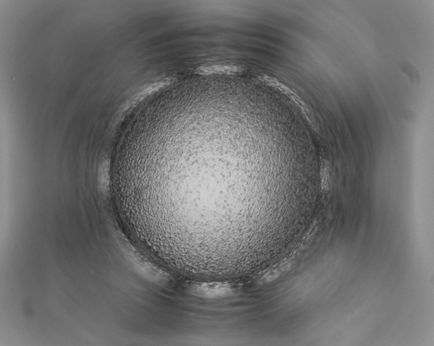 X0000112870353200909041626