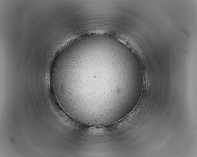 X0000112870354200909041626