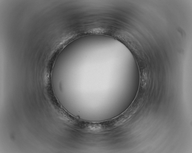 X0000112870355200909041626