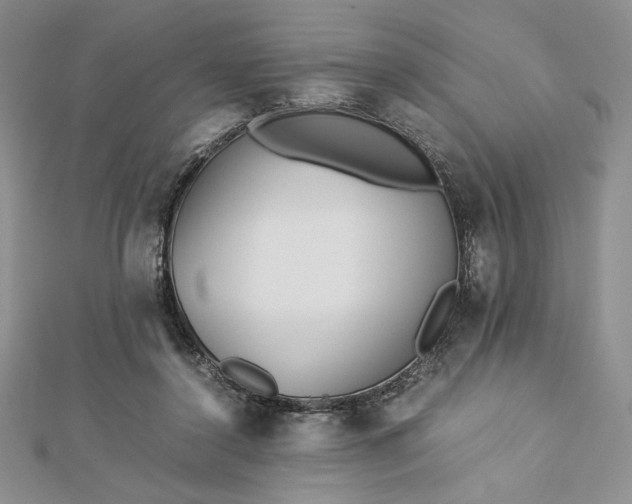 X0000112870356200909041626