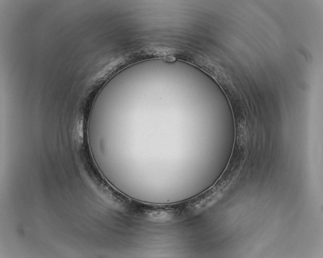 X0000112870358200909041626