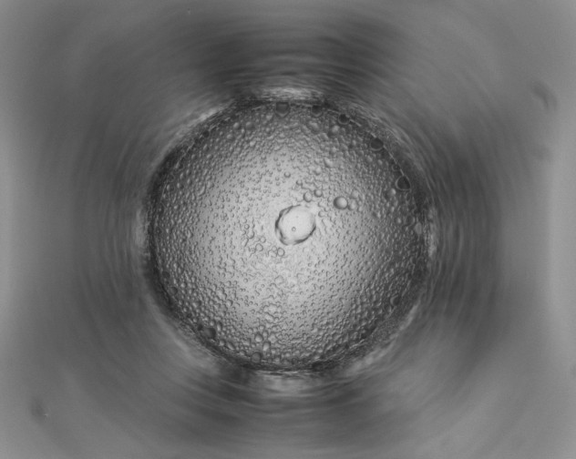 X0000112870359200909041626