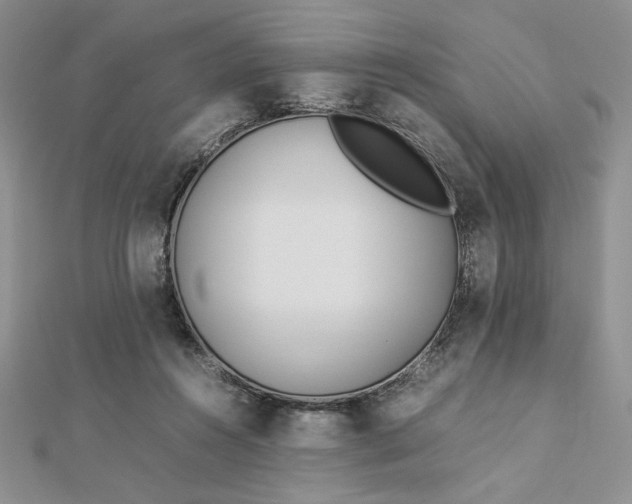 X0000112870360200909041626