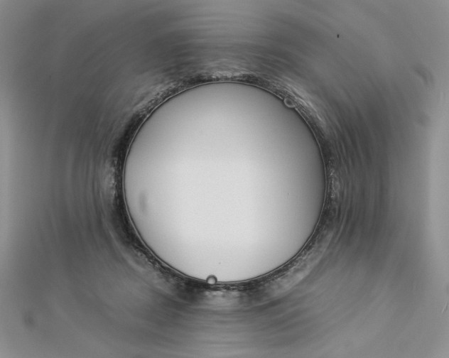 X0000112870362200909041626