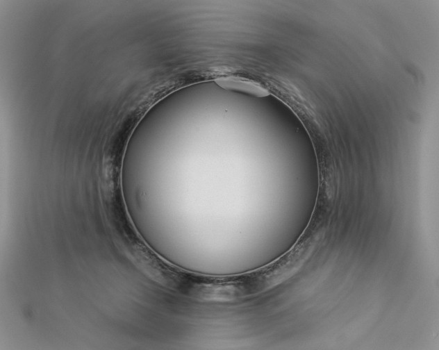 X0000112870366200909041626