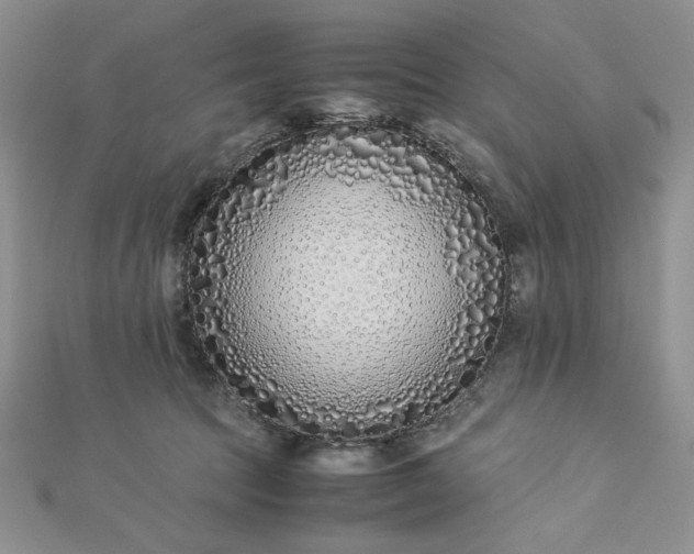 X0000112870369200909041626